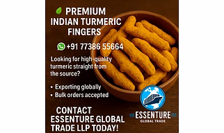 TURMERIC FINGER