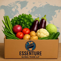 fresh vegetables