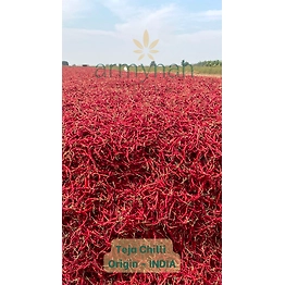 TEJA IPM RED CHILLI