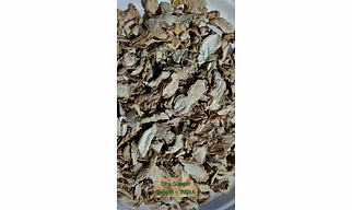 GINGER DEHYDRATED HANDCUT