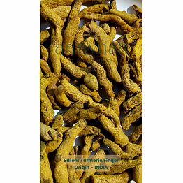 armynah turmeric finger salem