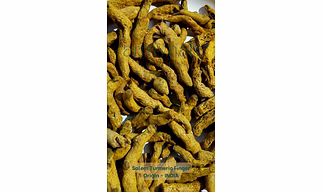 TURMERIC FINGER SALEM