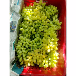 grapes