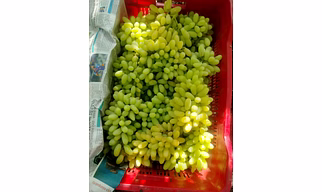 Grapes