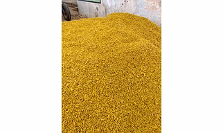 Turmeric Fingar
