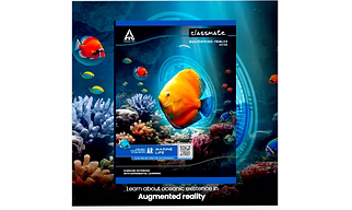Classmate Notebook - 172 Pages Pack of 4 pcs