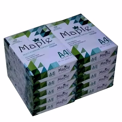 A4 Paper 500 sheets Pack of 10 Ream-2