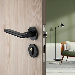 DOOR HANDLES AND MORTISE HANDLES