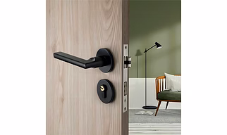 DOOR HANDLES AND MORTISE HANDLES