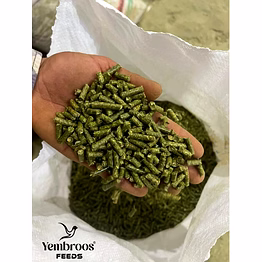 alfalfa pellets