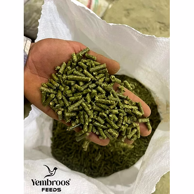 alfalfa pellets