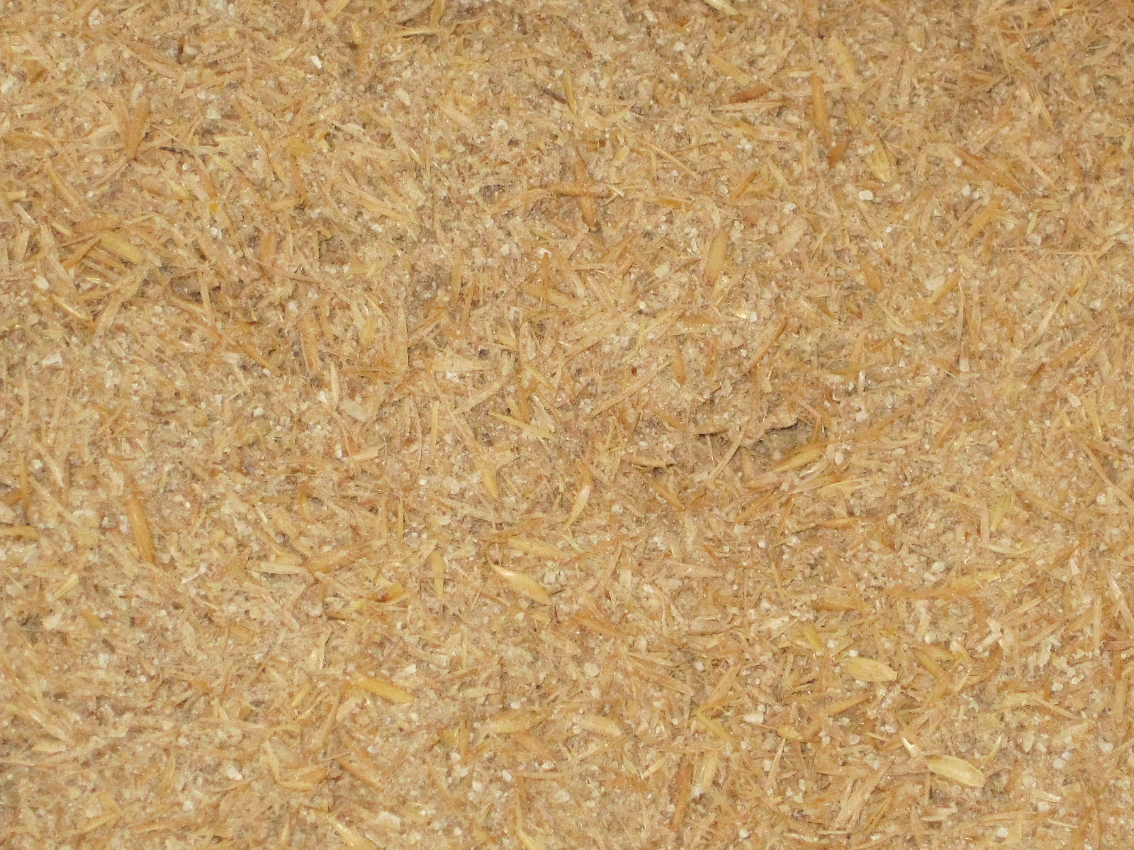 Barley Meal image 2