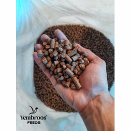 yembroos dairy cattle feed