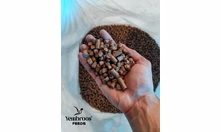 Dairy Cattle Feed