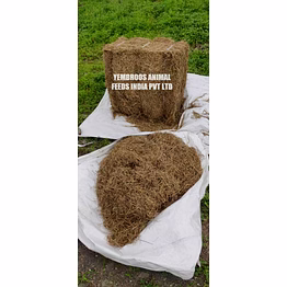 rhodus grass hay