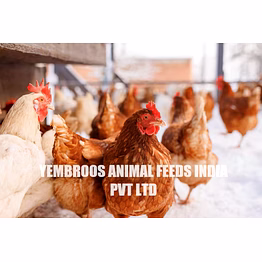 layer poultry concentrates