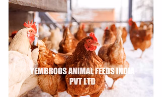 Layer Poultry Concentrates