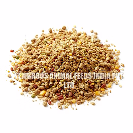 layer poultry feed