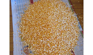 Maize Grit