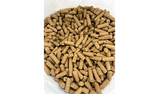 Ostrich Feed