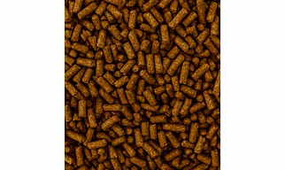 Rhinoceros Feed