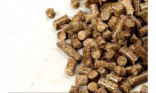 Rodent Feed