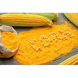 yellow corn meal