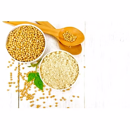 soy lecithin powder
