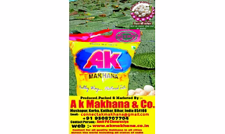 FoxNut l Makhana
