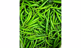 Green chili G4
