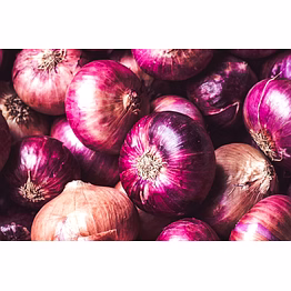 godavari red onion