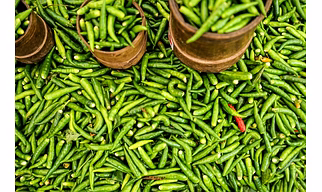 Green Chilies