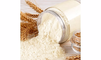 Vital Wheat Gluten