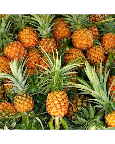 Pineapple Blossom Tea - 100g-2