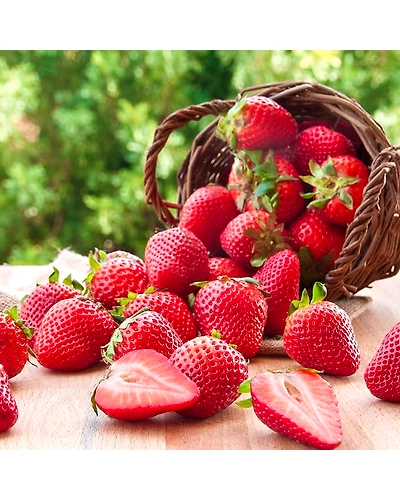 Strawberry Green Tea - 100g-4