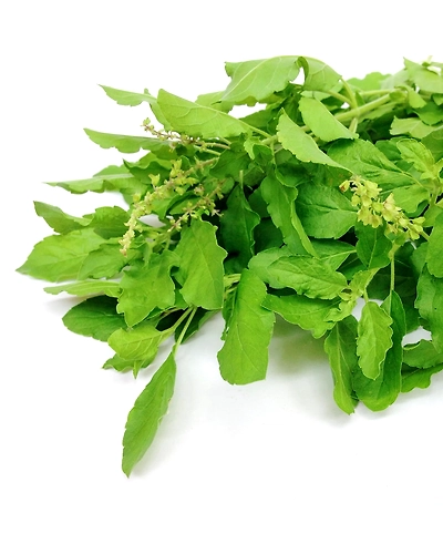 Tulsi Green Tea - 100g-2
