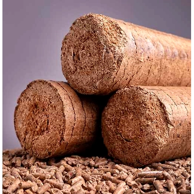 Biomass briquettes