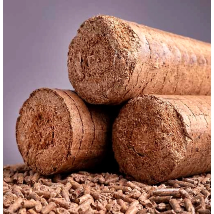 Biomass briquettes-12704781