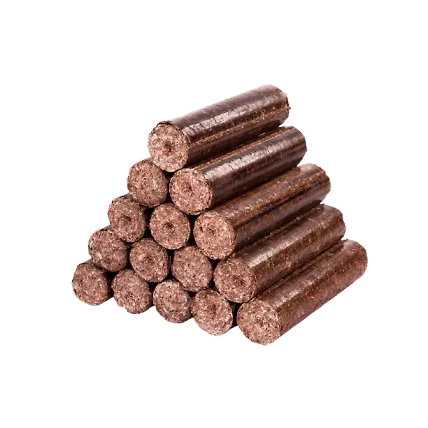 Biomass briquettes-1