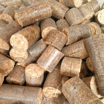 Biomass briquettes-2