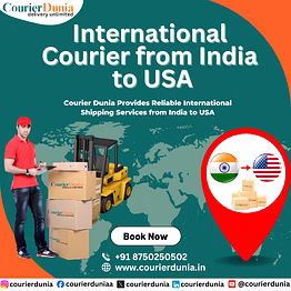 send courier from india to usa