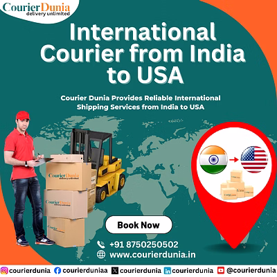 send courier from india to usa