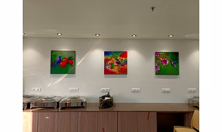 Canvas  frames