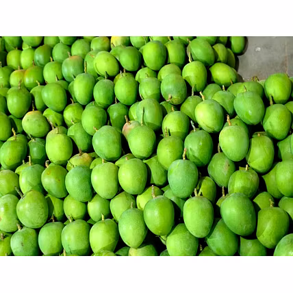 Alphonso Mango-12705795