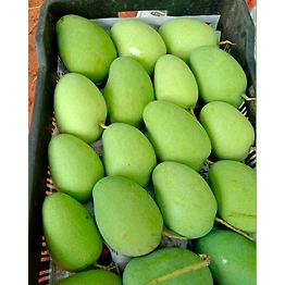 Badami Mango