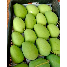 Badami Mango