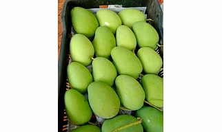 Badami Mango