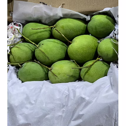 Badami Mango-1