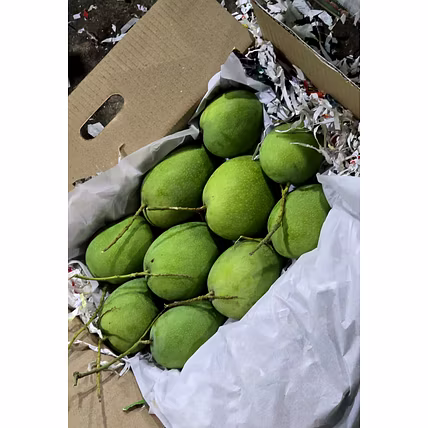 Badami Mango-2