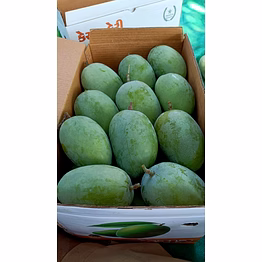 kesar mango talala gir
